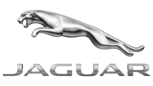 jaguar dpf